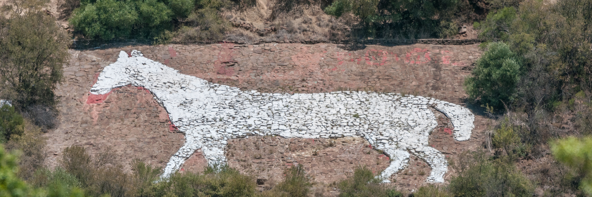 Photo featuring the iconic white horse on the hillside of Naval Hill in Bloemfontein.