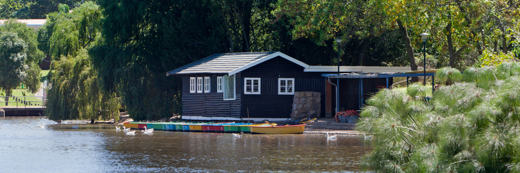 Zoo Lake boat house showing the various boats for hire.