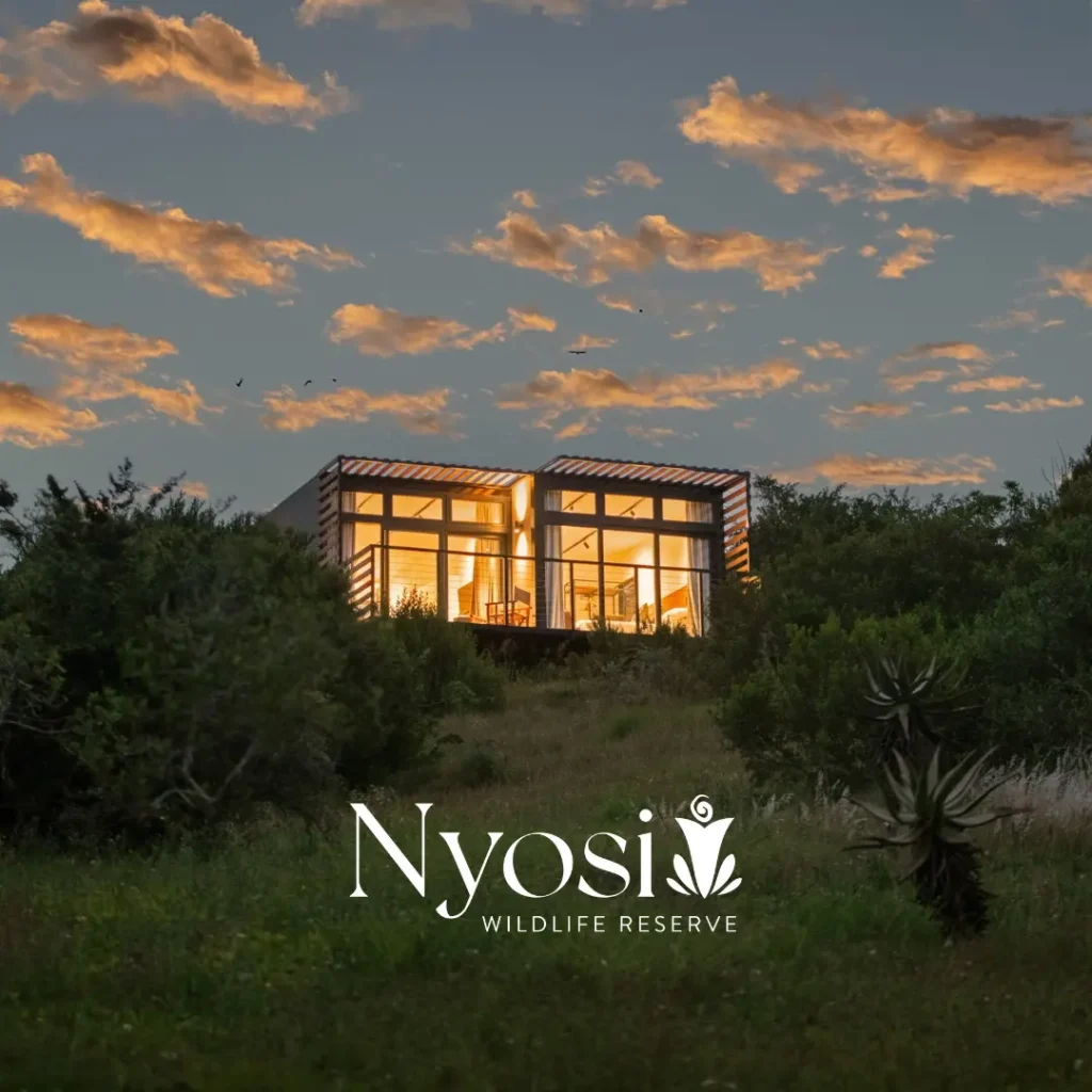 Nyosi Game Reserve accommodation at night