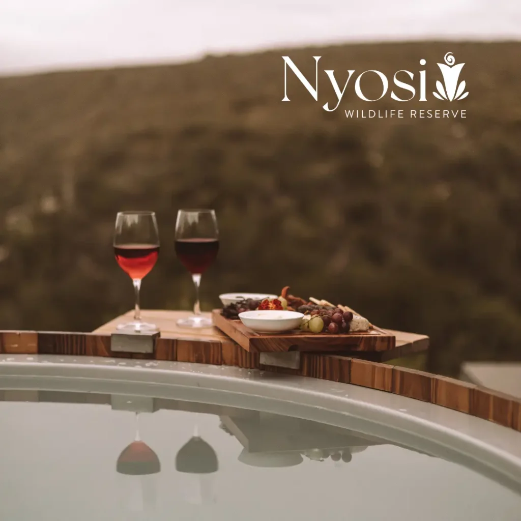 Nyosi Jacuzzi overlooking the game reserve and horizon