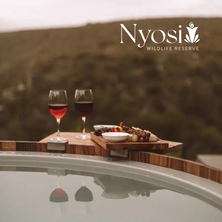 Nyosi Jacuzzi overlooking the game reserve and horizon
