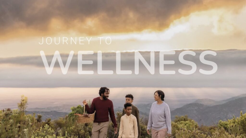 Journey To Wellness Banner showing a family on a picnic with an african sunset background and rolling hills.
