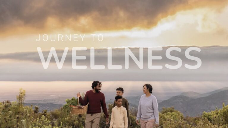 Journey To Wellness Banner showing a family on a picnic with an african sunset background and rolling hills.